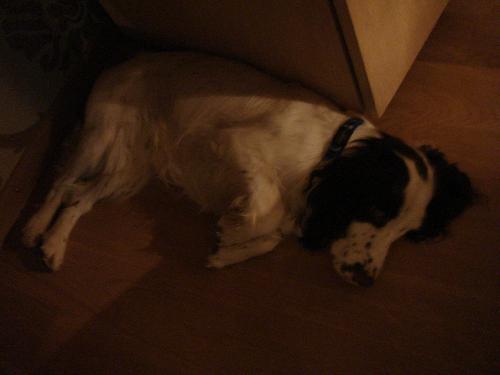 Das Bett im Zimmer